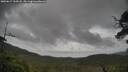 ./images/calvert/fitz-hugh-hecate/20250617/fitz-hugh-hecate20250617_155007M.jpg