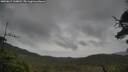 ./images/calvert/fitz-hugh-hecate/20250617/fitz-hugh-hecate20250617_160013M.jpg
