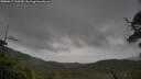 ./images/calvert/fitz-hugh-hecate/20250617/fitz-hugh-hecate20250617_160510M.jpg