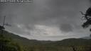 ./images/calvert/fitz-hugh-hecate/20250617/fitz-hugh-hecate20250617_161009M.jpg