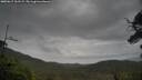 ./images/calvert/fitz-hugh-hecate/20250617/fitz-hugh-hecate20250617_161509M.jpg