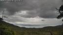 ./images/calvert/fitz-hugh-hecate/20250617/fitz-hugh-hecate20250617_162509M.jpg
