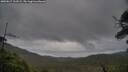 ./images/calvert/fitz-hugh-hecate/20250617/fitz-hugh-hecate20250617_163509M.jpg