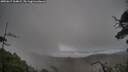 ./images/calvert/fitz-hugh-hecate/20250617/fitz-hugh-hecate20250617_164009M.jpg