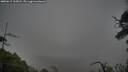 ./images/calvert/fitz-hugh-hecate/20250617/fitz-hugh-hecate20250617_165008M.jpg