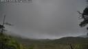 ./images/calvert/fitz-hugh-hecate/20250617/fitz-hugh-hecate20250617_165509M.jpg