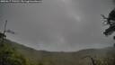 ./images/calvert/fitz-hugh-hecate/20250617/fitz-hugh-hecate20250617_170511M.jpg