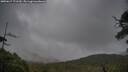 ./images/calvert/fitz-hugh-hecate/20250617/fitz-hugh-hecate20250617_171510M.jpg
