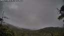 ./images/calvert/fitz-hugh-hecate/20250617/fitz-hugh-hecate20250617_172008M.jpg