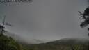 ./images/calvert/fitz-hugh-hecate/20250617/fitz-hugh-hecate20250617_172510M.jpg