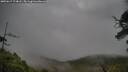 ./images/calvert/fitz-hugh-hecate/20250617/fitz-hugh-hecate20250617_174008M.jpg