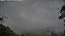 ./images/calvert/fitz-hugh-hecate/20250617/fitz-hugh-hecate20250617_174510M.jpg