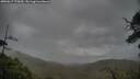 ./images/calvert/fitz-hugh-hecate/20250617/fitz-hugh-hecate20250617_175010M.jpg