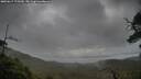 ./images/calvert/fitz-hugh-hecate/20250617/fitz-hugh-hecate20250617_175510M.jpg