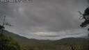 ./images/calvert/fitz-hugh-hecate/20250617/fitz-hugh-hecate20250617_180013M.jpg