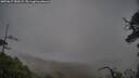 ./images/calvert/fitz-hugh-hecate/20250617/fitz-hugh-hecate20250617_180509M.jpg