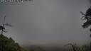 ./images/calvert/fitz-hugh-hecate/20250617/fitz-hugh-hecate20250617_181008M.jpg