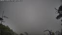 ./images/calvert/fitz-hugh-hecate/20250617/fitz-hugh-hecate20250617_181510M.jpg