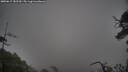 ./images/calvert/fitz-hugh-hecate/20250617/fitz-hugh-hecate20250617_182510M.jpg