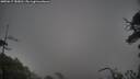 ./images/calvert/fitz-hugh-hecate/20250617/fitz-hugh-hecate20250617_183011M.jpg