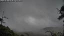 ./images/calvert/fitz-hugh-hecate/20250617/fitz-hugh-hecate20250617_183510M.jpg