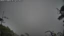 ./images/calvert/fitz-hugh-hecate/20250617/fitz-hugh-hecate20250617_184009M.jpg