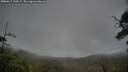./images/calvert/fitz-hugh-hecate/20250617/fitz-hugh-hecate20250617_190009M.jpg