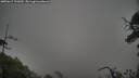 ./images/calvert/fitz-hugh-hecate/20250617/fitz-hugh-hecate20250617_191009M.jpg