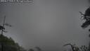 ./images/calvert/fitz-hugh-hecate/20250617/fitz-hugh-hecate20250617_192009M.jpg