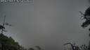./images/calvert/fitz-hugh-hecate/20250617/fitz-hugh-hecate20250617_192506M.jpg