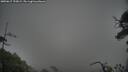 ./images/calvert/fitz-hugh-hecate/20250617/fitz-hugh-hecate20250617_193009M.jpg