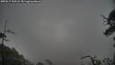./images/calvert/fitz-hugh-hecate/20250617/fitz-hugh-hecate20250617_193508M.jpg