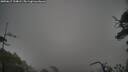 ./images/calvert/fitz-hugh-hecate/20250617/fitz-hugh-hecate20250617_194009M.jpg