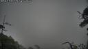 ./images/calvert/fitz-hugh-hecate/20250617/fitz-hugh-hecate20250617_194509M.jpg