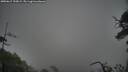 ./images/calvert/fitz-hugh-hecate/20250617/fitz-hugh-hecate20250617_195009M.jpg