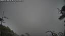 ./images/calvert/fitz-hugh-hecate/20250617/fitz-hugh-hecate20250617_195507M.jpg
