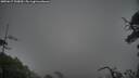 ./images/calvert/fitz-hugh-hecate/20250617/fitz-hugh-hecate20250617_200010M.jpg