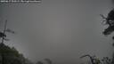 ./images/calvert/fitz-hugh-hecate/20250617/fitz-hugh-hecate20250617_200509M.jpg