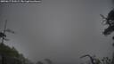 ./images/calvert/fitz-hugh-hecate/20250617/fitz-hugh-hecate20250617_201008M.jpg