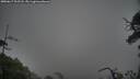 ./images/calvert/fitz-hugh-hecate/20250617/fitz-hugh-hecate20250617_202508M.jpg