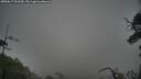 ./images/calvert/fitz-hugh-hecate/20250617/fitz-hugh-hecate20250617_203509M.jpg