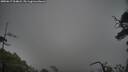 ./images/calvert/fitz-hugh-hecate/20250617/fitz-hugh-hecate20250617_204008M.jpg