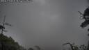 ./images/calvert/fitz-hugh-hecate/20250617/fitz-hugh-hecate20250617_204508M.jpg