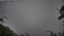 ./images/calvert/fitz-hugh-hecate/20250617/fitz-hugh-hecate20250617_205008M.jpg