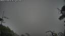 ./images/calvert/fitz-hugh-hecate/20250617/fitz-hugh-hecate20250617_205508M.jpg