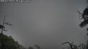 ./images/calvert/fitz-hugh-hecate/20250617/fitz-hugh-hecate20250617_210509M.jpg