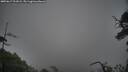 ./images/calvert/fitz-hugh-hecate/20250617/fitz-hugh-hecate20250617_211009M.jpg