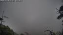 ./images/calvert/fitz-hugh-hecate/20250617/fitz-hugh-hecate20250617_213008M.jpg
