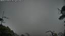 ./images/calvert/fitz-hugh-hecate/20250617/fitz-hugh-hecate20250617_213509M.jpg