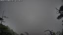 ./images/calvert/fitz-hugh-hecate/20250617/fitz-hugh-hecate20250617_214010M.jpg